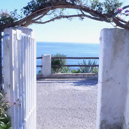 Garden With A View