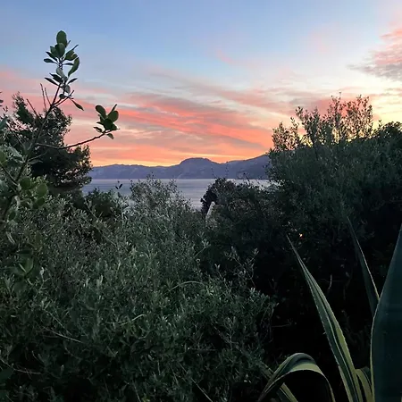 Garden With A View * 칼라고노네