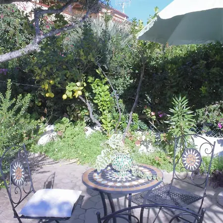 Garden With A View